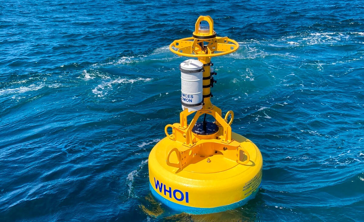 Robotic buoys developed to keep Atlantic right whales safe