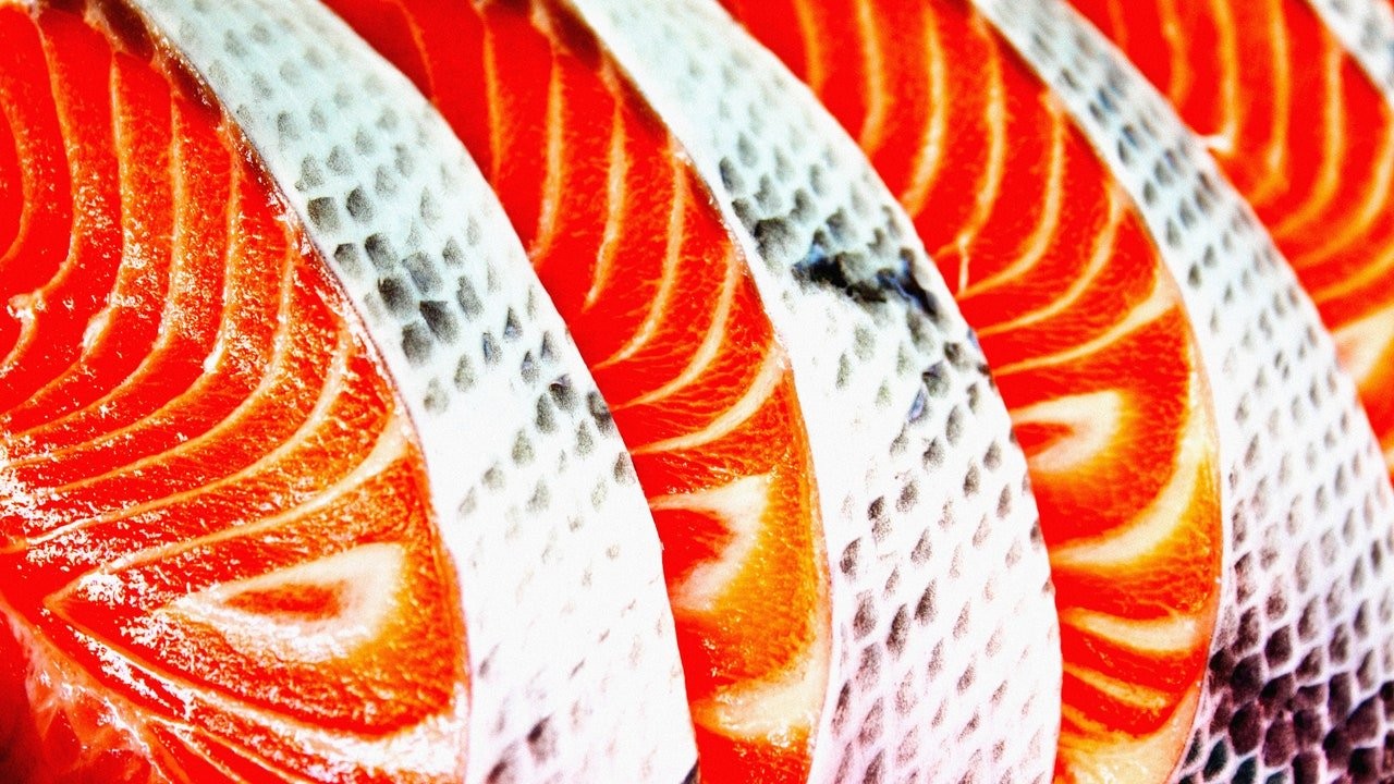 The race to stop fish becoming the next factory farming nightmare