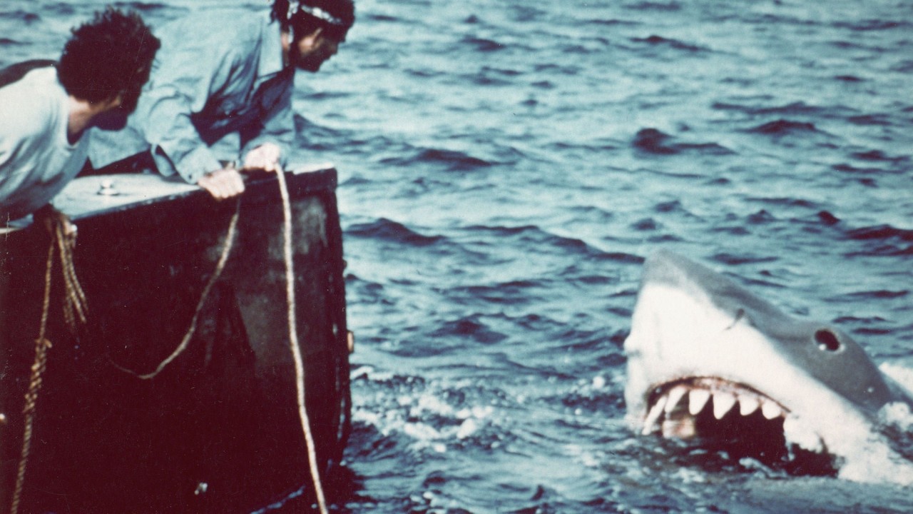 ‘Jaws’ portrayed sharks as monsters 50 years ago, but it also inspired a generation of shark scientists