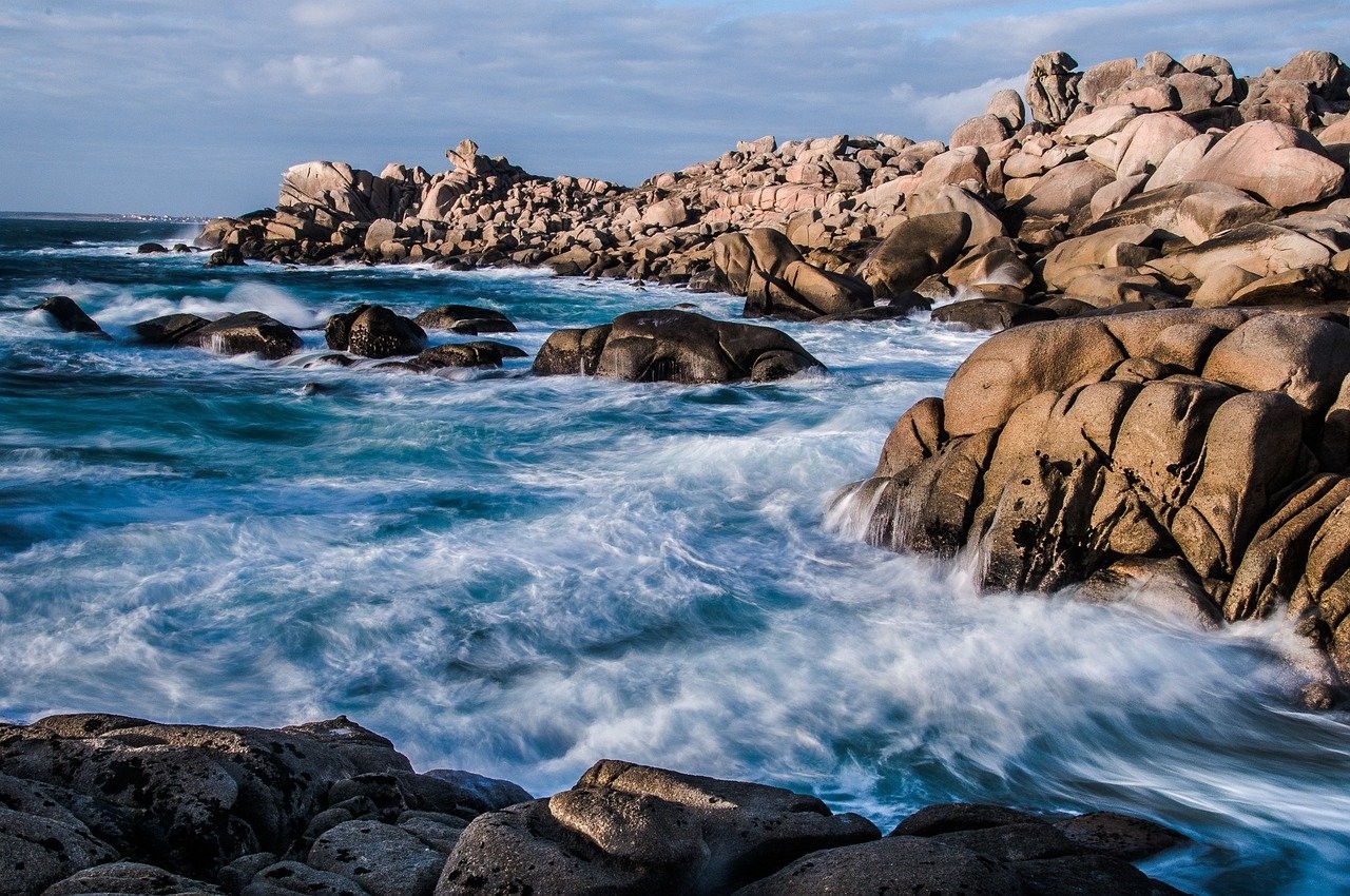 How Climate Change is Affecting Coastal Ecosystems and Their Wildlife
