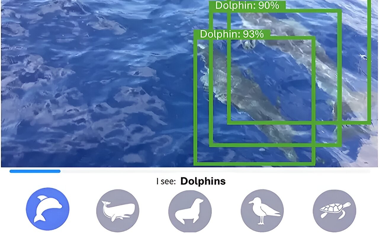 AI making waves in marine data collection