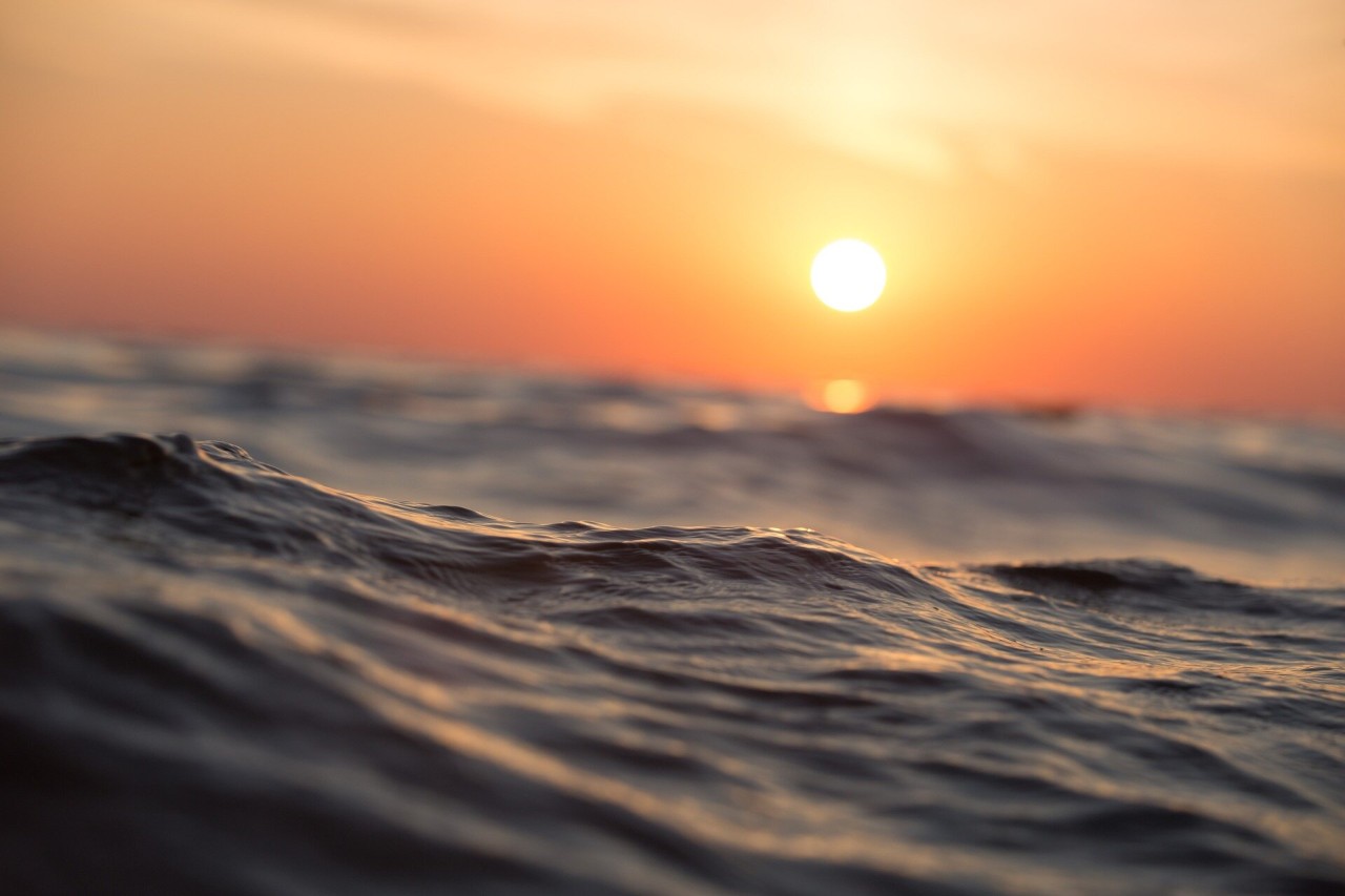 Unprecedented ocean heating shows risks of world 3C warmer