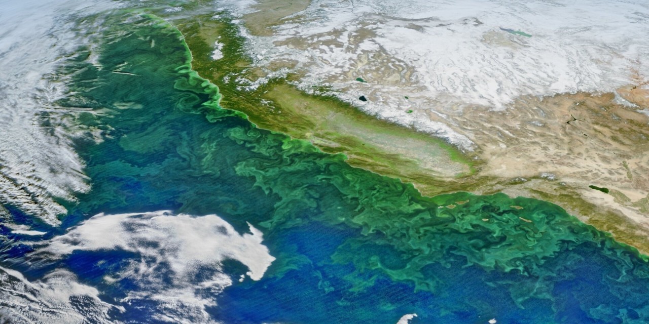 Researchers develop new method for tracking ocean carbon from space