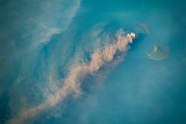 A Volcano Eruption Reveals Thousands of Hidden Sea Creatures