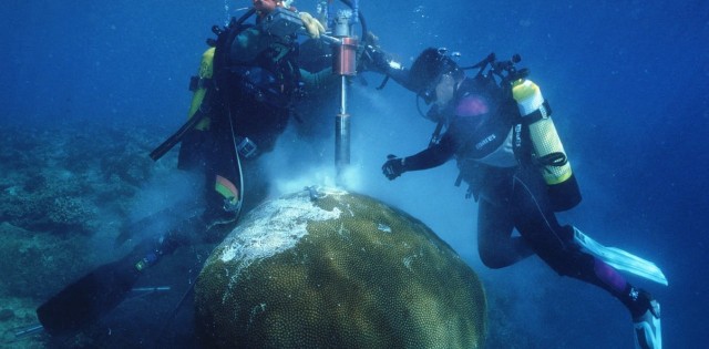 A 600-year-old coral shows us how the Pacific Ocean has changed since 1370