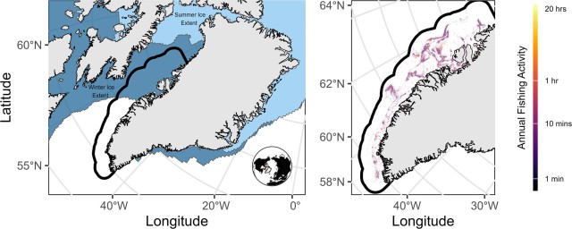 New opportunities for Arctic fishing 'must be carefully managed'