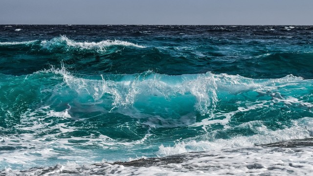 Our oceans are in trouble: How to move beyond the outrage and start taking real action