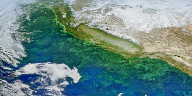 Researchers develop new method for tracking ocean carbon from space
